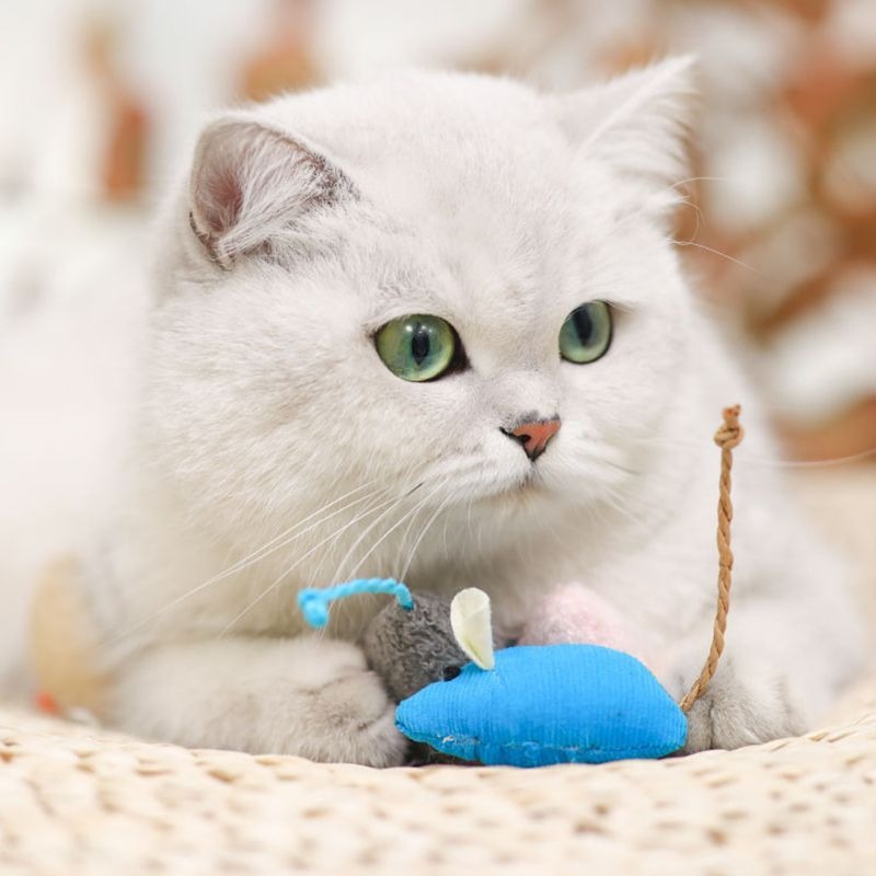 Cat toys, simulated plush mice, relieve boredom, interact with each other, and provide pet products